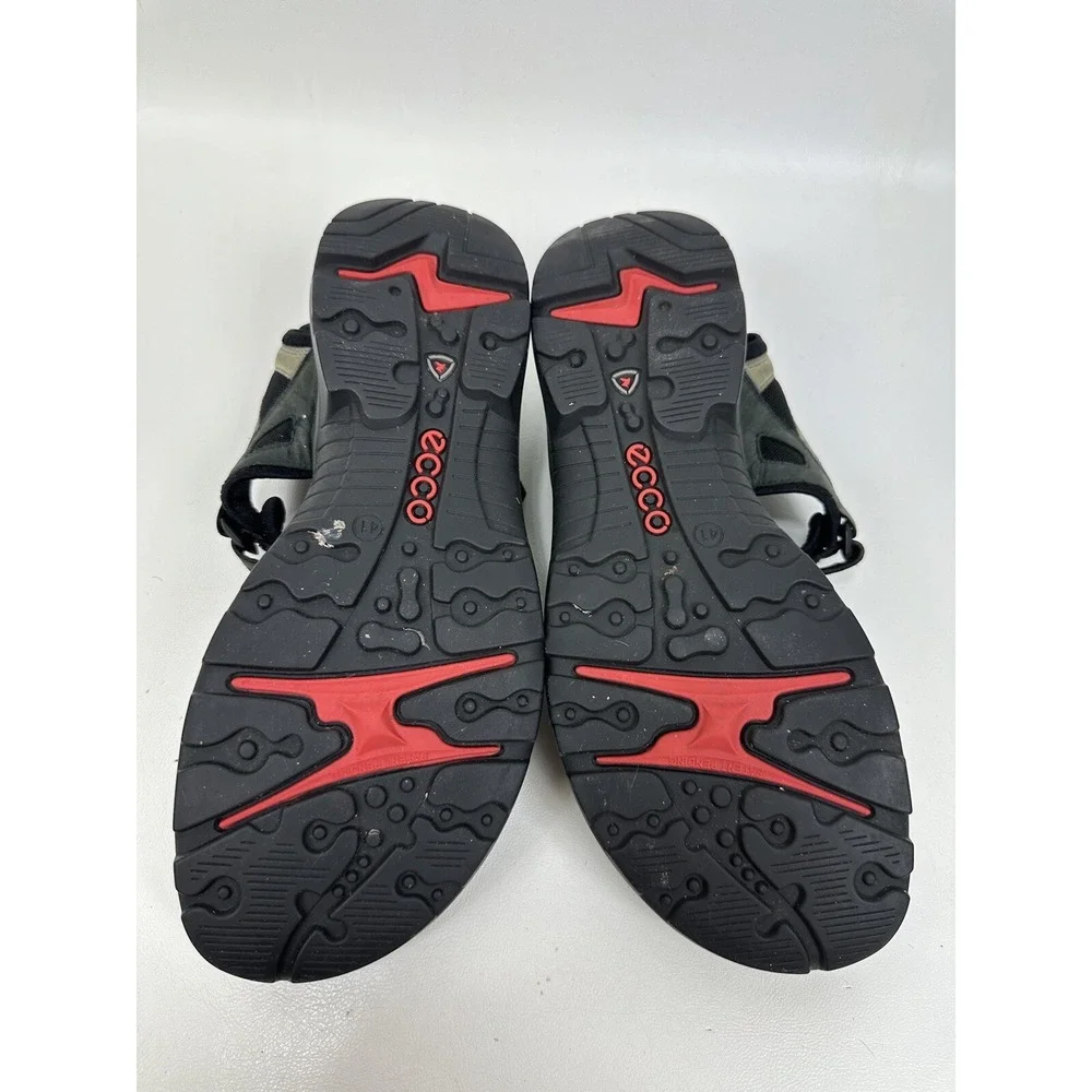 Ecco yucatan receptor